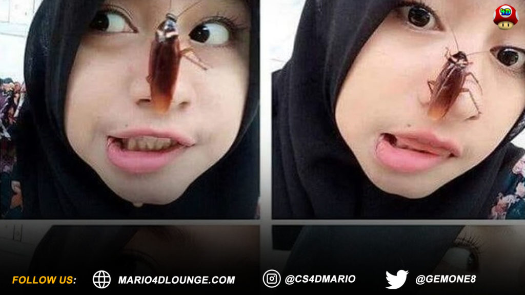 Foto Selfie Bareng Kecoak Jadi Viral