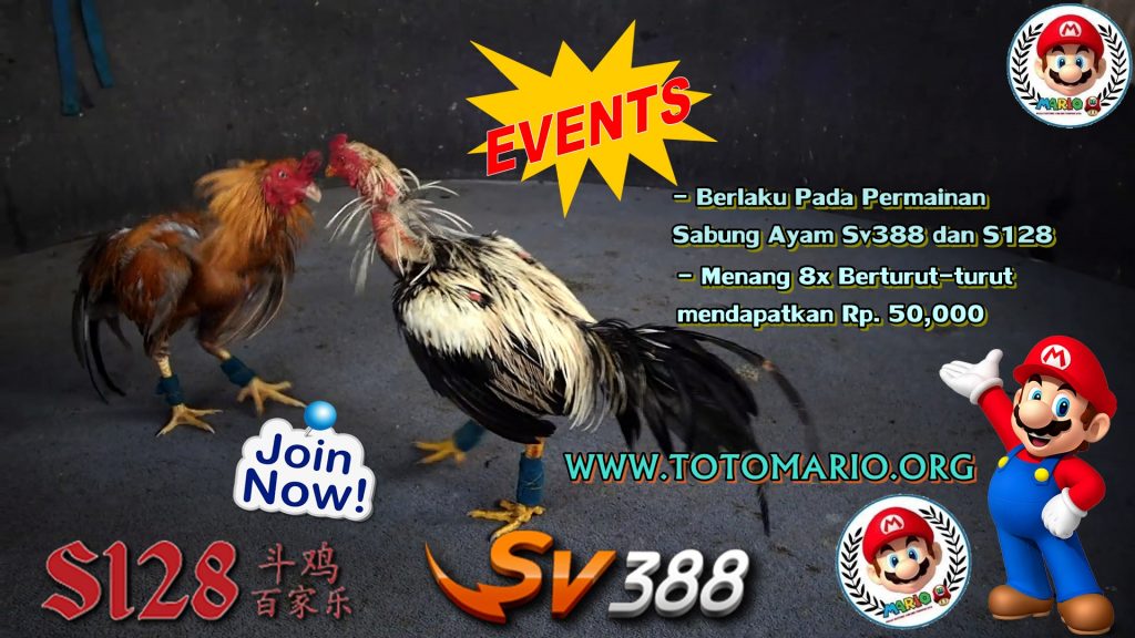 Spesial Event Win Streak Sabung Ayam MARIO4D