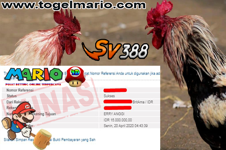 Big Jacpot Sabung Ayam Sv388