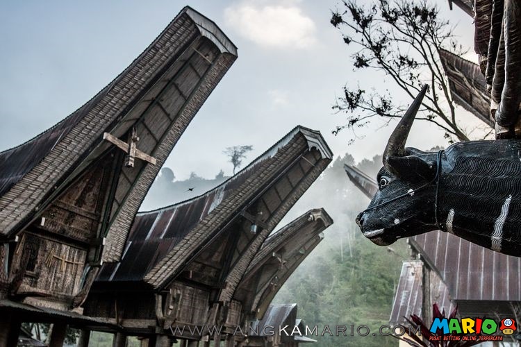Toraja, Suku dengan Tradisi Mendandani Orang Meninggal