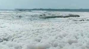 Fenomena Alam Warna Biru Menyala di Pantai Pesisir Barat Kini Keluarkan Bau  Busuk dan Berbusa - Tribun Lampung