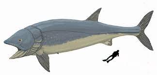 Leedsichthys - Wikipedia bahasa Indonesia, ensiklopedia bebas