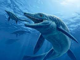 Ichthyosaurus, Reptil Raksasa Yang Telah Punah 90 Juta Tahun Lalu |  Indozone.id