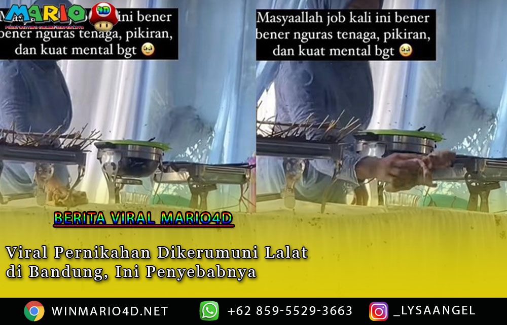 Viral Pernikahan Dikerumuni Lalat di Bandung, Ini Penyebabnya